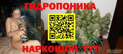 PSILOCYBIN Кимры