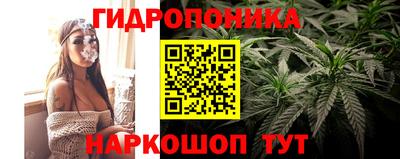 альфа пвп Кингисепп