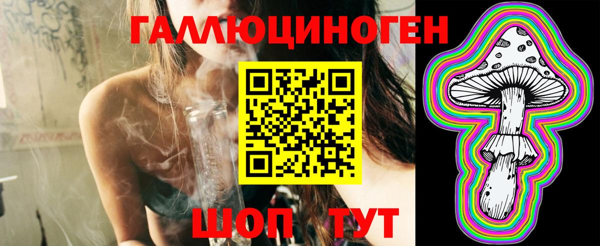 Псилоцибиновые грибы GOLDEN TEACHER  Вход с VPN  как найти   Усть-Илимск  Галлюциногенные грибы MAGIC MUSHROOMS 